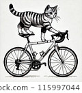 騎公路車的貓 115997044