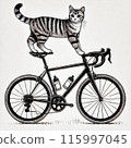 騎公路車的貓 115997045