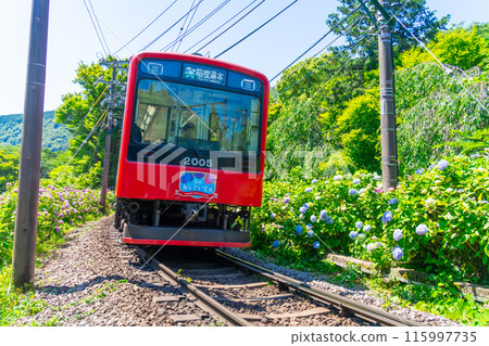 Hakone Hydrangea Train 2000 series 115997735