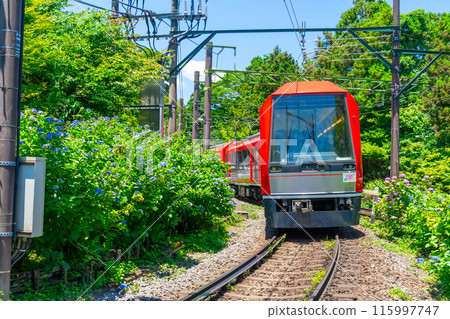 箱根紫陽花號列車3000型 箱根紫陽花號列車3000型 115997747