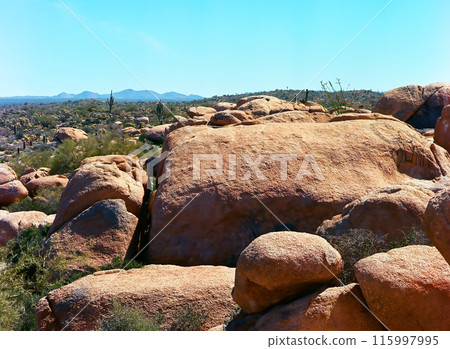 Central Sonora Desert Arizona Central Sonora Desert Arizona 115997995