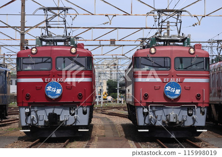 兩種類型的北極星 115998019