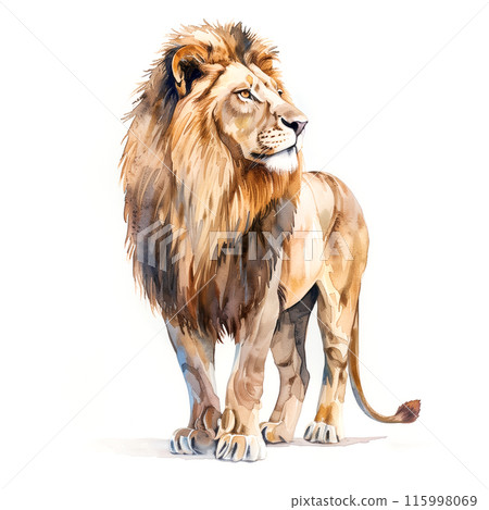 白色背景上的百獸之王獅子的水彩插圖 白色背景上的百獸之王獅子的水彩插圖 115998069
