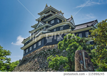 Okayama Castle Main Tower Renovation in the Reiwa Era Okayama Castle Main Tower Renovation in the Reiwa Era 115998245