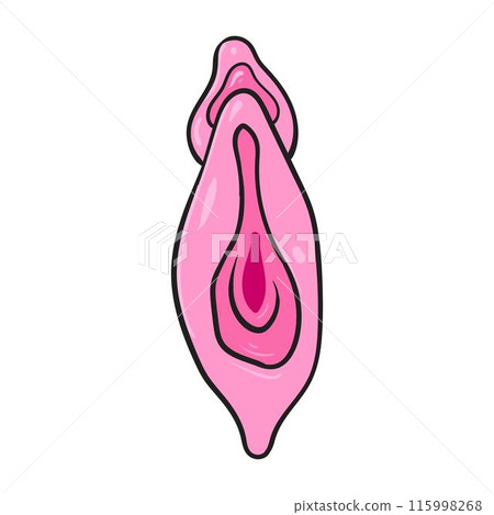 Illustration of the Human Vagina Illustration of the Human Vagina 115998268