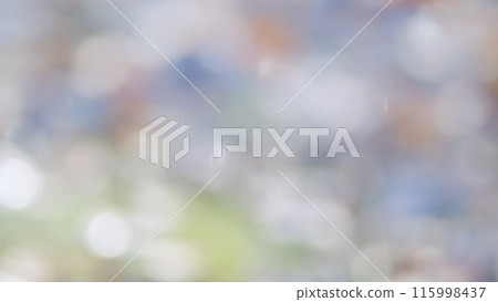 Sun sunlight through woods and trees in autumn forest landscape. Bokeh. Sun sunlight through woods and trees in autumn forest landscape. Bokeh. 115998437