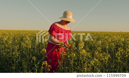 Beautiful Lady On Floral Yellow Field At Summer Day. A Woman In A Dress Walks Near A Rapeseed Field. Warm Sunset Colors. Beautiful Lady On Floral Yellow Field At Summer Day. A Woman In A Dress Walks Near A Rapeseed Field. Warm Sunset Colors. 115999709