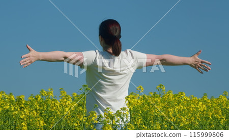 Woman Standing In Yellow Rapeseed Field Raising Her Arms Expressing Freedom. Beautiful Healthy Caucasian White Woman Standing In Blooming Rapeseed Field And Looking At Horizon. 115999806