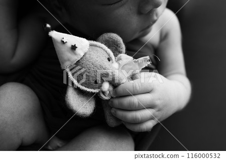 Newborn hands hold a small toy elephant. Close-up of a small hand of a child. Rough baby skin. The concept of education, child care and healthcare. Professional black and white macro photo. 116000532