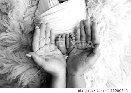 Feet of the newborn on the palms of the parents. The palms of the father and mother are holding the foot of the newborn baby in flokati. Black and white photography of a child's toes, heels and feet.  116000541