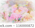 玫瑰花畫水彩 116000872