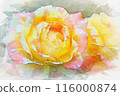玫瑰花畫水彩 116000874