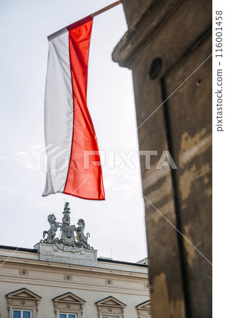 Polish Flag with Historic Building Detail 116001458