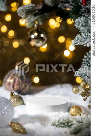 Winter Christmas composition Winter Christmas composition 116001530