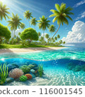 充滿珊瑚的海 116001545