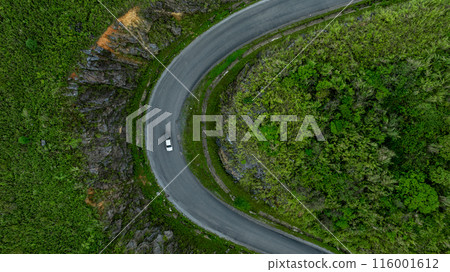 Aerial view road through the green forest on mountain road, Car drive on asphalt road going through green forest, Curved road from above. 116001612