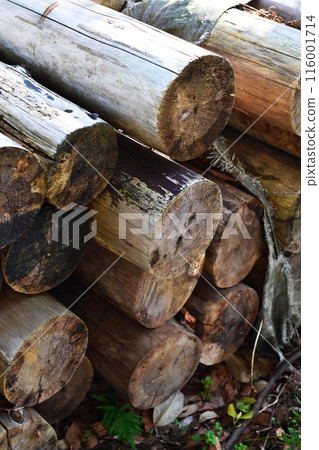 Firewood image (for camping, etc.) 116001714