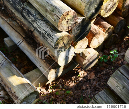 Firewood image (for camping, etc.) Firewood image (for camping, etc.) 116001716
