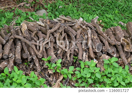 Firewood image (for camping, etc.) Firewood image (for camping, etc.) 116001727