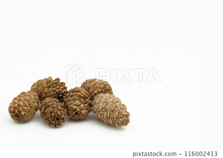 Collection of brown dry cedar cones of small size on white background, lying still in a pile. Textured cones. Horizontal. For banner. 116002413