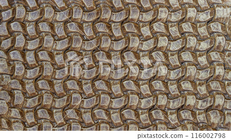 Braided texture pattern of leather, natural background for banner 116002798