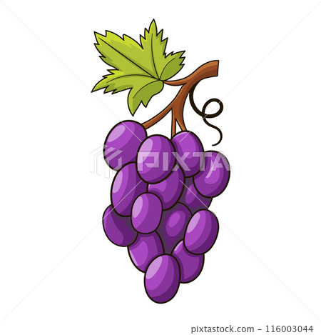 Ripe rep grape fruit in cartoon style 116003044