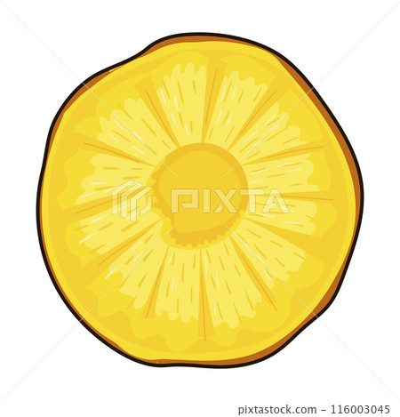 The slice of ripe tropical pineapple fruit in cartoon style 116003045