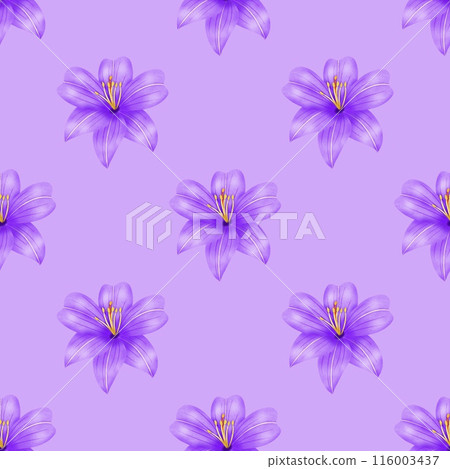 seamless pattern with purple flowers seamless pattern with purple flowers 116003437