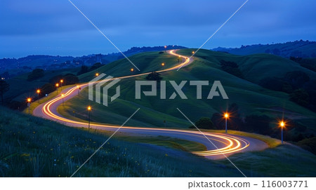 A winding hillside road with streetlights forming a serpentine path, guiding travelers under a starry sky. 116003771