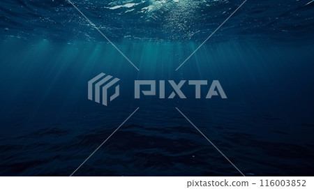 Underwater, undersea image with light shining through 116003852