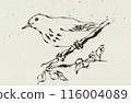Bird perched on a branch, monochrome illustration drawn by pen, watercolor paper texture 116004089