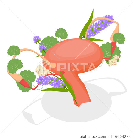 3D Isometric Flat  Illustration of Menstruation. Item 5 116004284