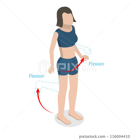 3D Isometric Flat  Illustration of Flexion And Extension. Item 2 116004410