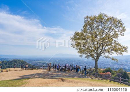 [春天]奈良公園若草山 116004556