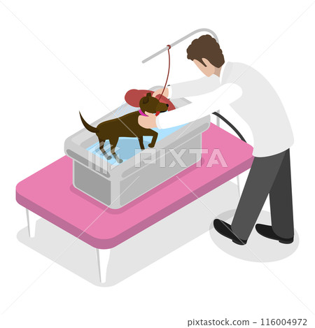 3D Isometric Flat Illustration of Pet Grooming. Item 2 3D Isometric Flat Illustration of Pet Grooming. Item 2 116004972