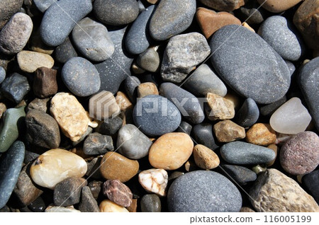 Stones of different sizes on the beach. Background texture. 116005199
