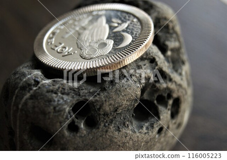 Owl on a coin. A pure silver coin on a stone. Owl on a coin. A pure silver coin on a stone. 116005223
