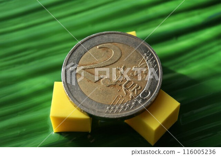 European coin reverse. Used 2 euro coin. 116005236