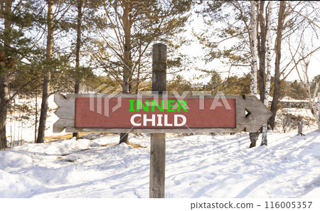 Inner child symbol. Concept words Inner child on beautiful wooden road sign. Beautiful forest snow blue sky background. Psychological, motivational inner child concept. Copy space. 116005357