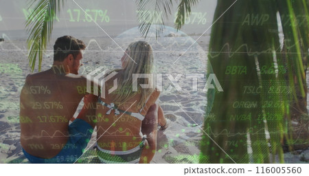 Image of financial data processing over couple on beach 116005560
