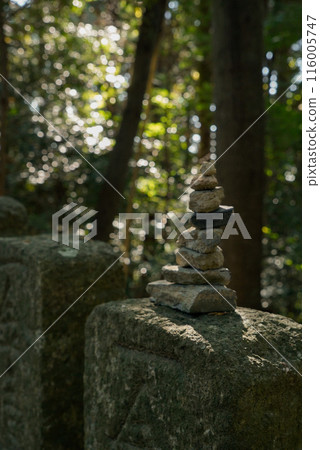 石頭和新鮮的綠色植物 石頭和新鮮的綠色植物 116005747