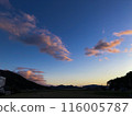 染色雲 116005787