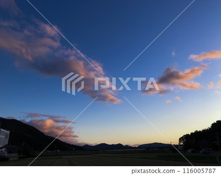 染色雲 116005787