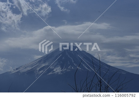 Mount Fuji  116005792