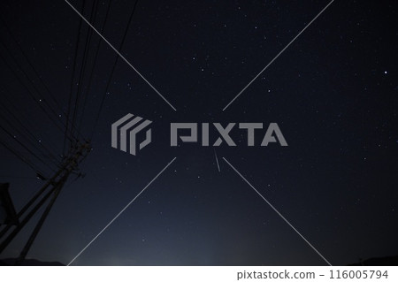 shooting star 116005794