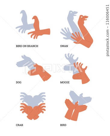 A set of vector hand shadows depicting various animals and birds on a white background A set of vector hand shadows depicting various animals and birds on a white background 116006451