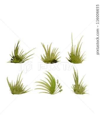 A collection of watercolor paintings of green tussocks for any of your designs. Grass silhouette. Watercolor print. Summer splash banner. Modern Art 116006655