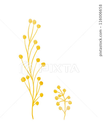 Herbaceous plant. Watercolor twigs, great design for any purpose. Decorative botanical set. Abstract silhouettes of branches. Summer nature clipart. Simple sketch drawing 116006658