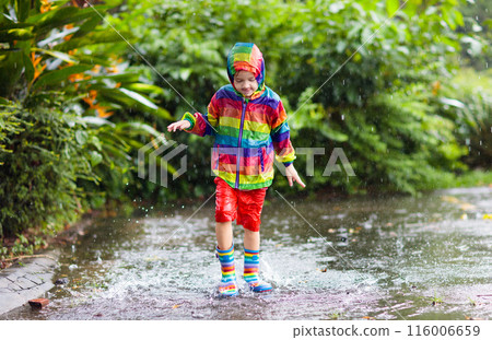 Kids in puddle in autumn rain. Waterproof wear 116006659