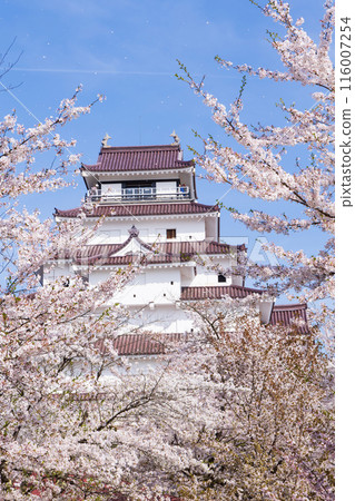 Top 100 Cherry Blossom Spots in Japan: Fukushima, Tsuruga Castle (Aizu-Wakamatsu Castle) 116007254